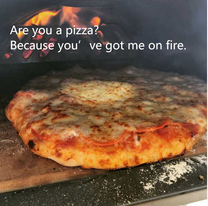 Are you a pizza Because youve got me on fire