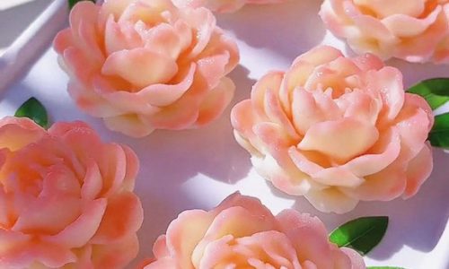 Chinese Yam Mousse 1